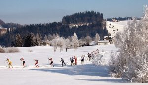 Cross-country_skiing_Schwedentritt