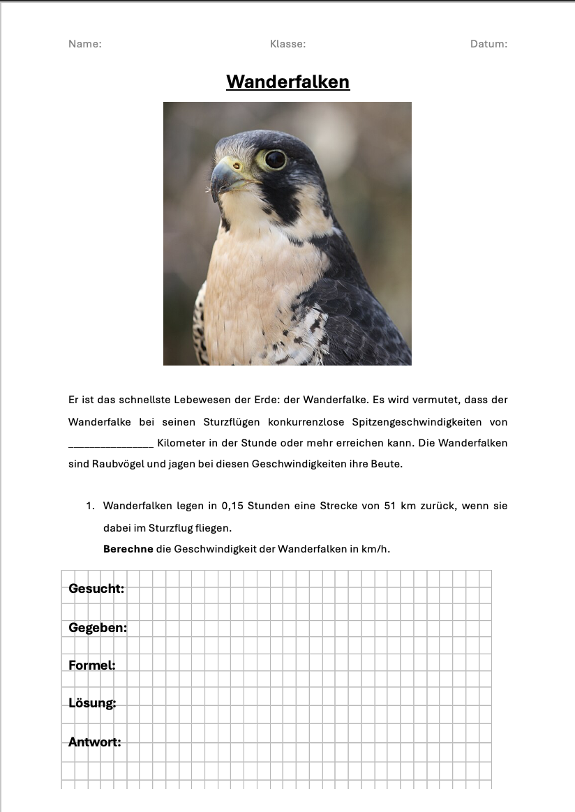 KL6_00030_Schnelle Tiere_Übung_(leer)